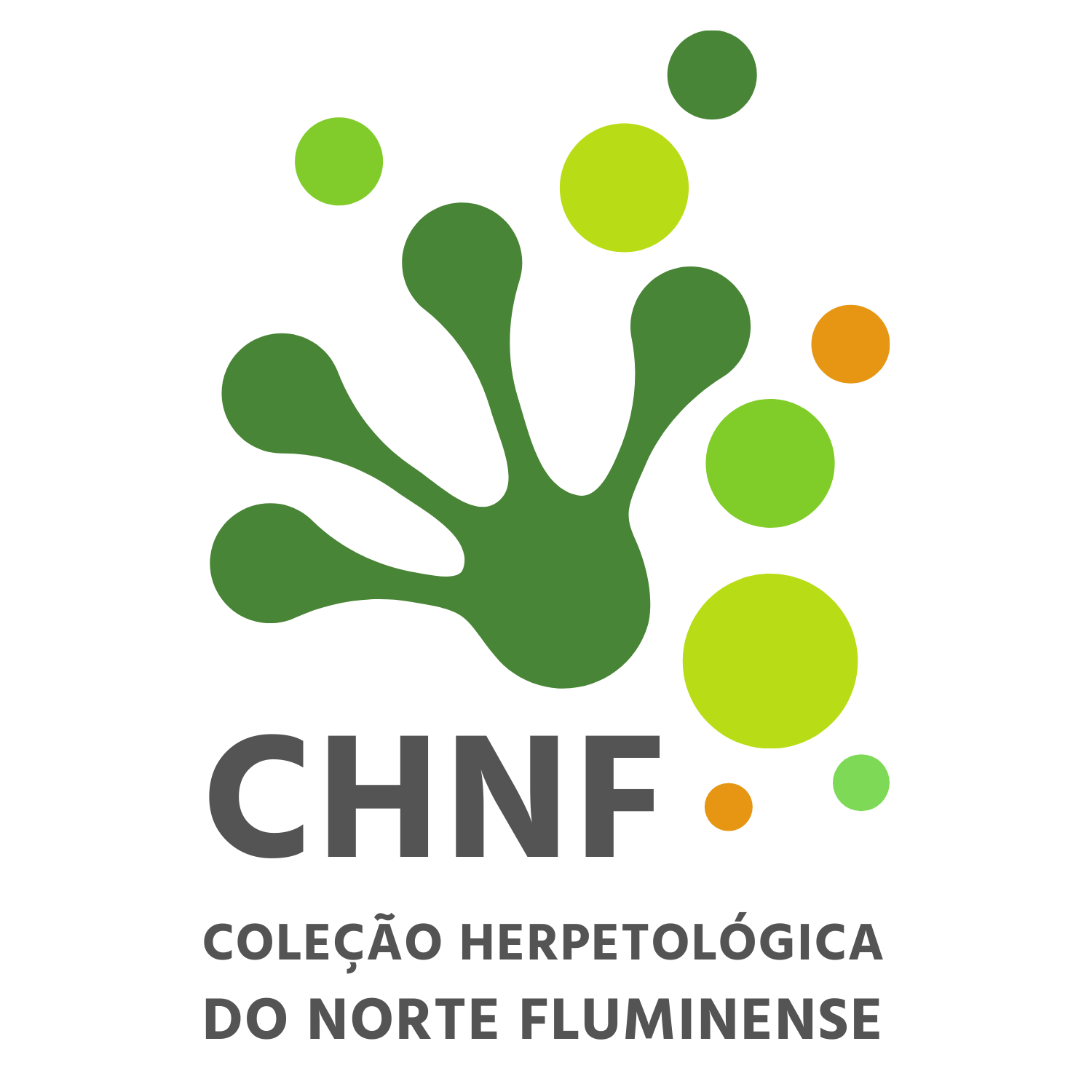 CHNF_Fluminense.png