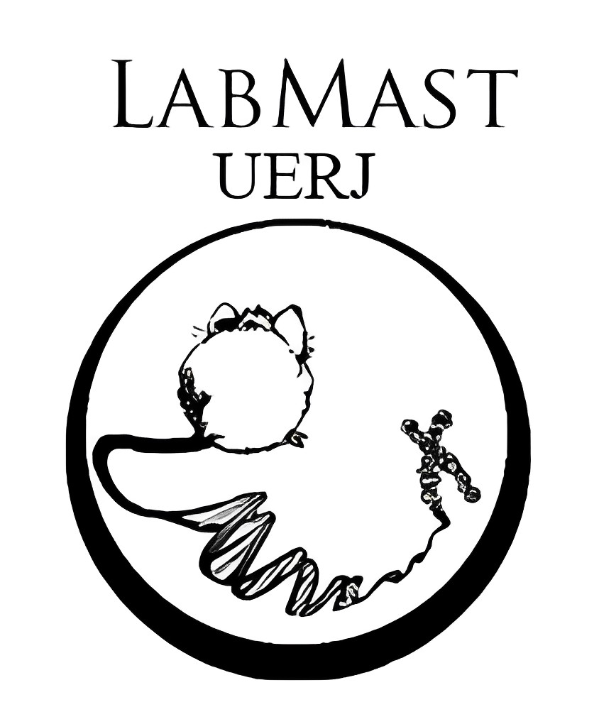 LabMam_UERJ.jpg