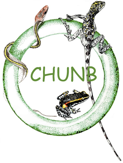 Logo_CHUNB.jpg