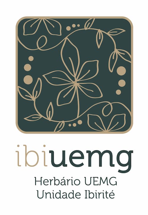 Logo_IBIUEMG_.jpg