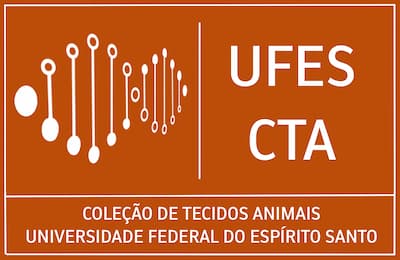 Logo_UFES_CTA.jpg