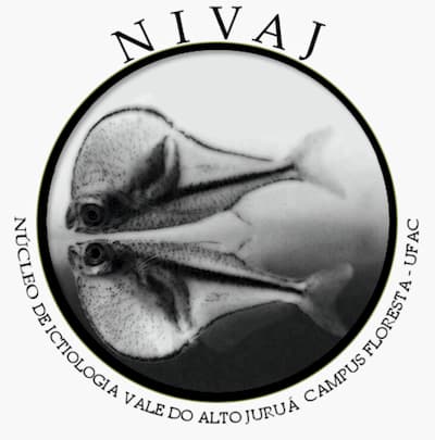 NIVAJ_logo.jpg